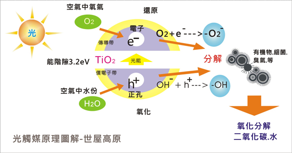 光觸媒分解細菌原理